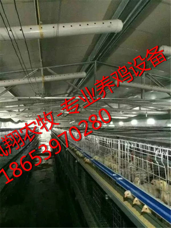 �B(y��ng)�u�O�����B(y��ng)�u���ή��