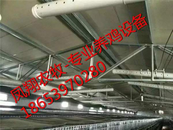 �B(y��ng)�u�O�����B(y��ng)�u��