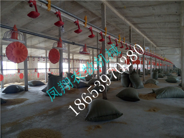 �B(y��ng)�u�O��/�B(y��ng)�u�Ͼ�