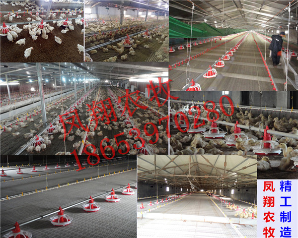 �B(y��ng)�u�O(sh��)�� �B(y��ng)���O(sh��)��