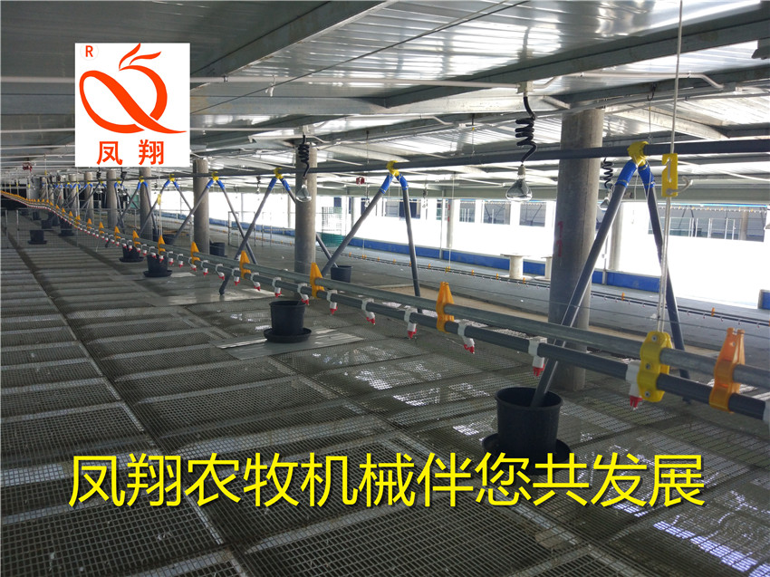 �B(y��ng)���O(sh��)�� �B(y��ng)�Z�O(sh��)�� 