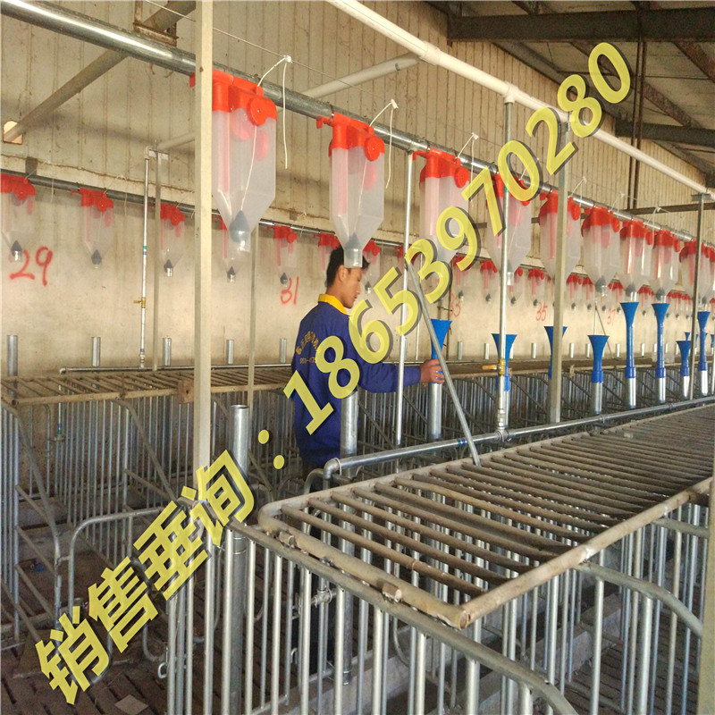 ����ĸ�i���ö����Ͼ�/���P�Ͼ�