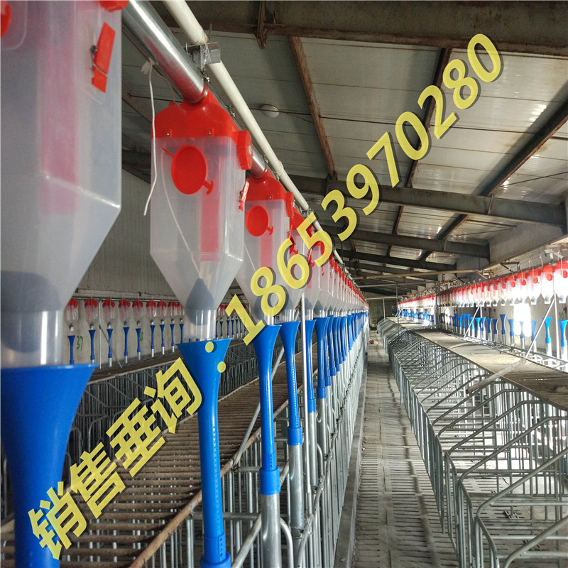 ɽ�|�B(y��ng)�i�O(sh��)��S��/�Ԅӻ��B(y��ng)�i�O(sh��)��