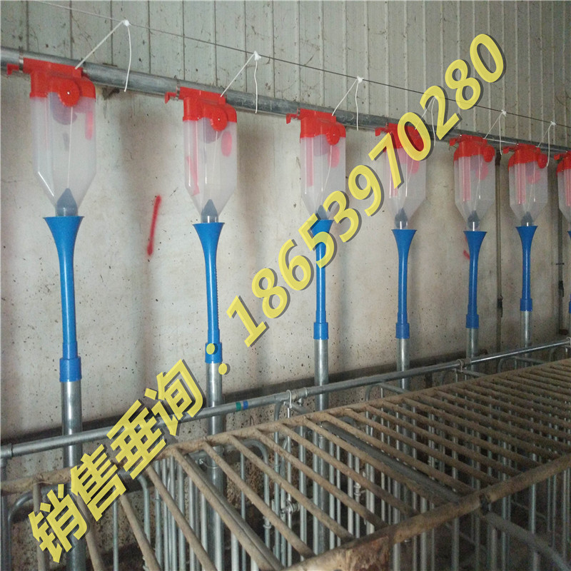 �Ԅ�(d��ng)���B(y��ng)�i�O(sh��)�䣨���ן���\�����������r(sh��)�ι��