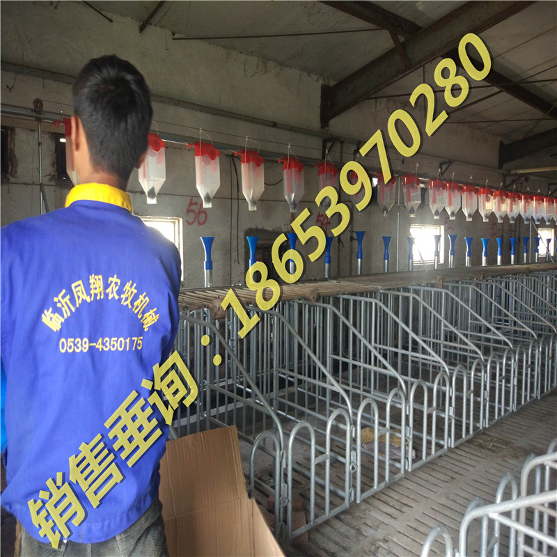 �Ԅӻ��B(y��ng)�i�Ͼ��S��