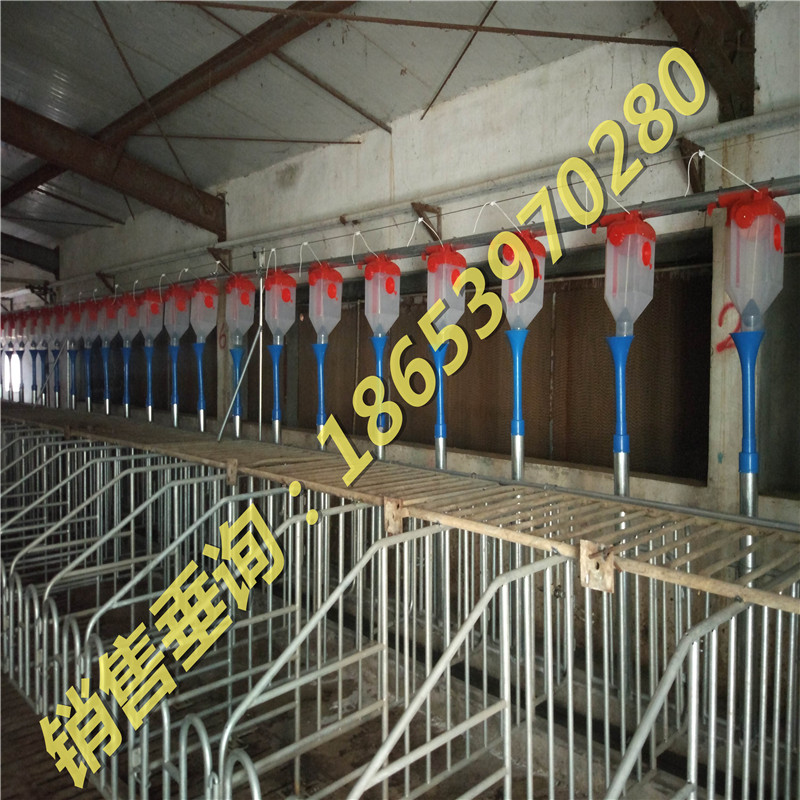 �B(y��ng)�i�O(sh��)��/�Ԅӻ��B(y��ng)�i�Ͼ�/����\�����S��