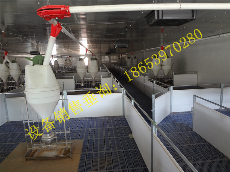 �B(y��ng)�i�O(sh��)��