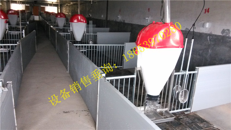 �B(y��ng)���i�O��