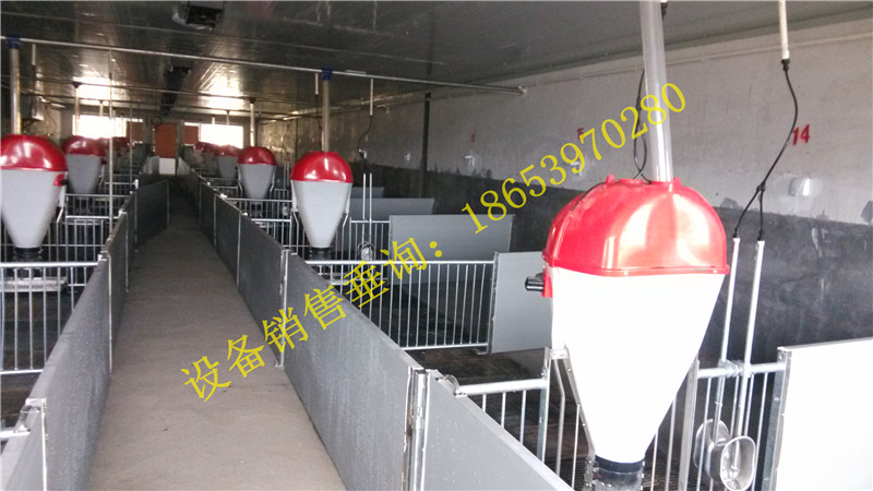 �B(y��ng)���i�O(sh��)��