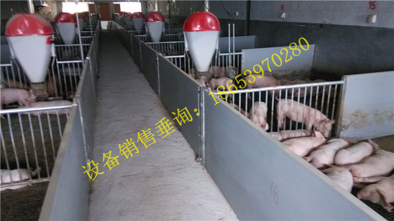 �B(y��ng)�i�O��