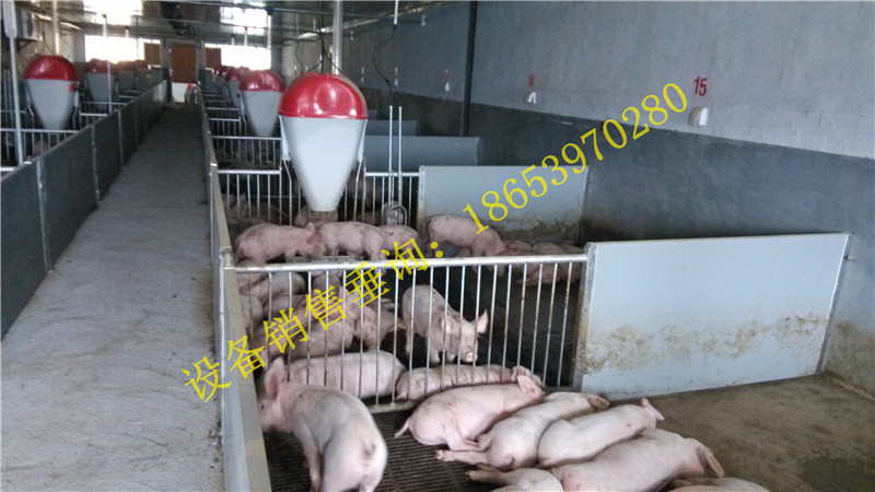 �B(y��ng)�i�O(sh��)��