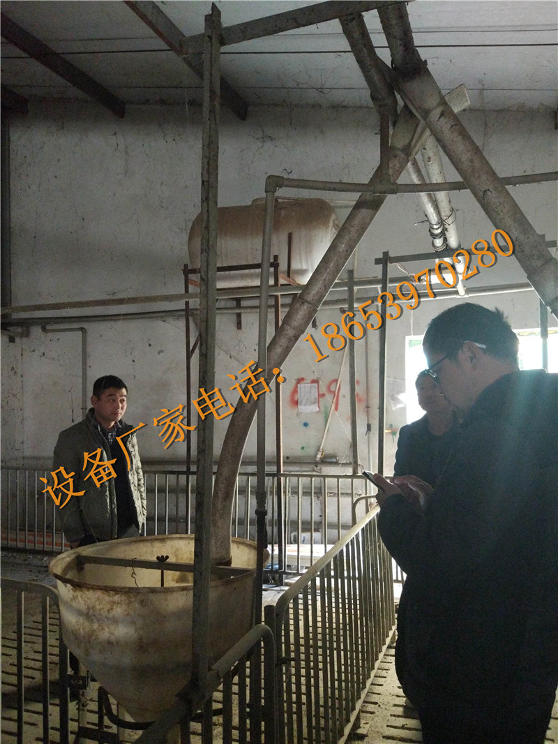 �����i�Ͼ�