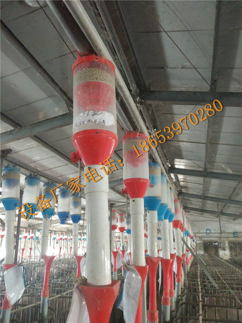 �B(y��ng)�i�O(sh��)��