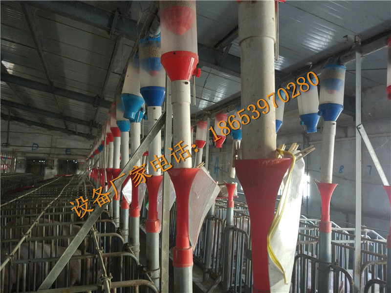 �B(y��ng)�i�O(sh��)��