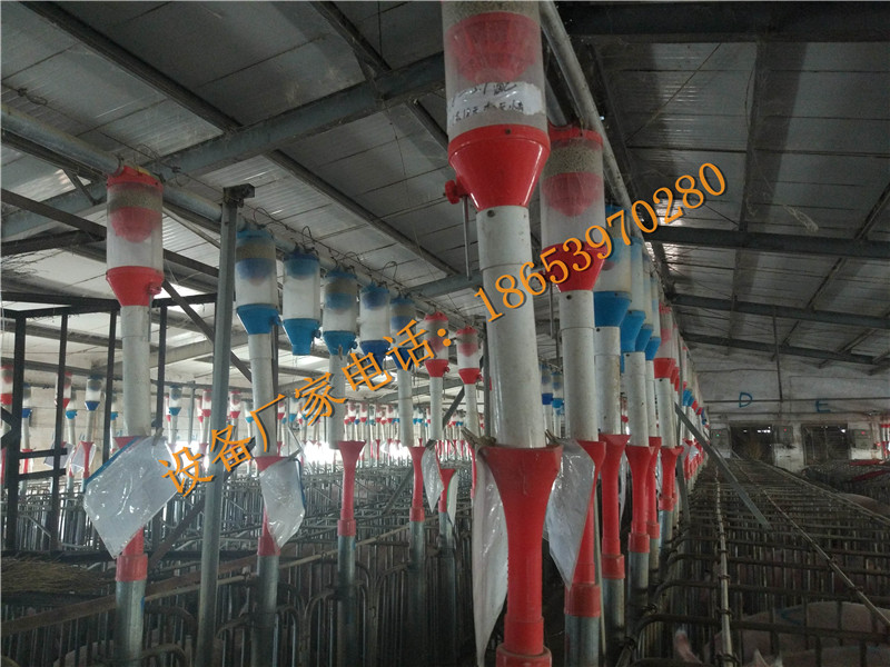 �B(y��ng)�i�O��