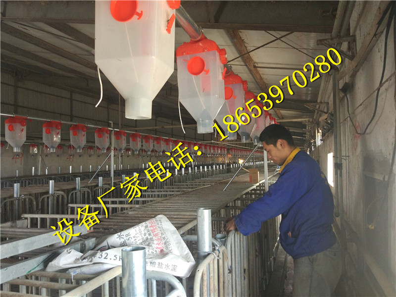 �B(y��ng)�i�O(sh��)��