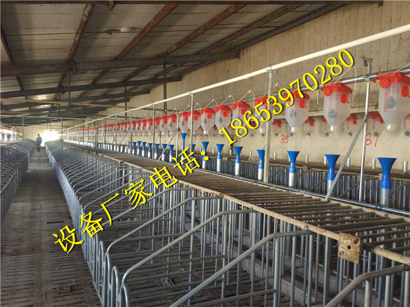 �B(y��ng)�i�O��