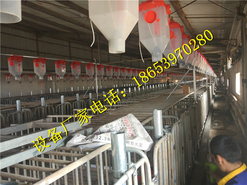 �B(y��ng)�i�O��