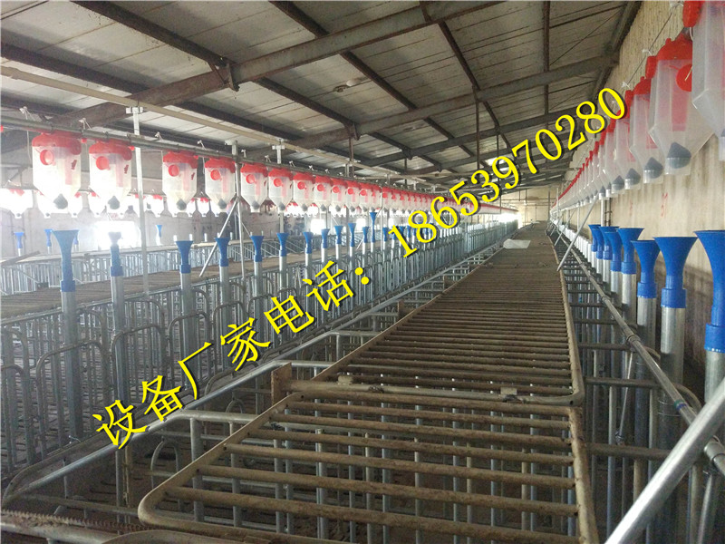 �B(y��ng)�i�O��