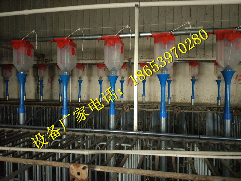 �B(y��ng)�i�O(sh��)��