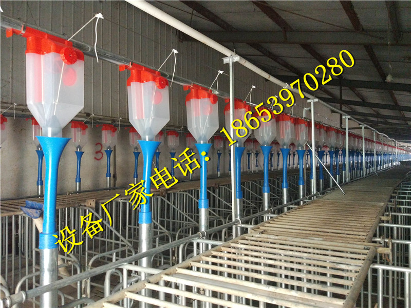 �B(y��ng)�i�O(sh��)��