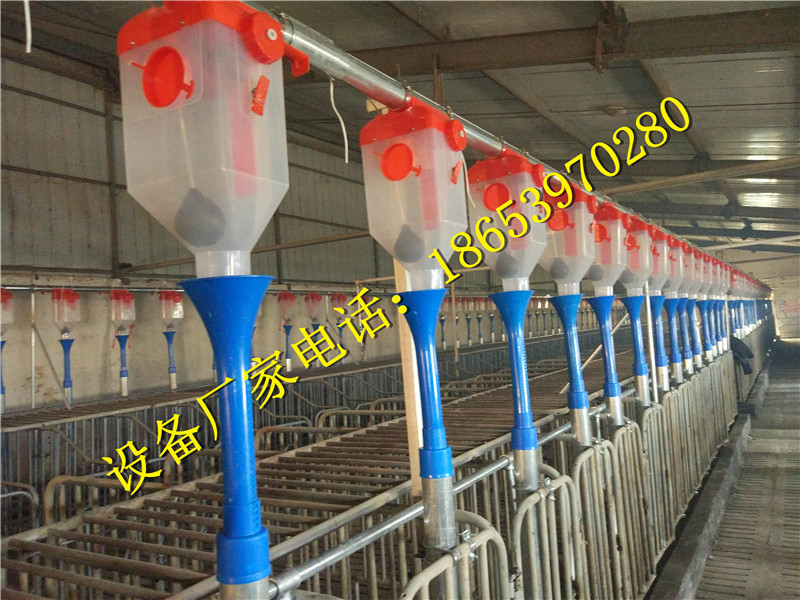 �B(y��ng)�i�O(sh��)��