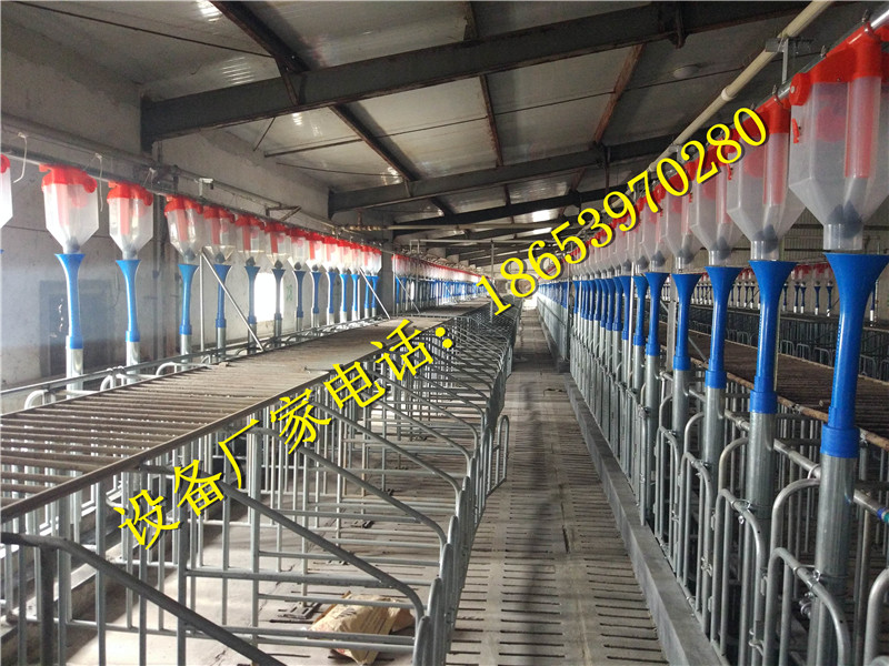 �B(y��ng)�i�O(sh��)��