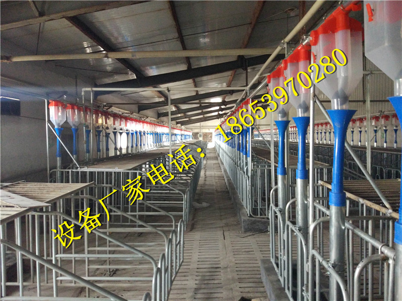 �B(y��ng)�i�O(sh��)��