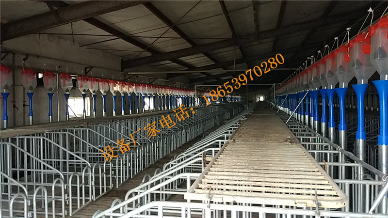 �B(y��ng)�i�O(sh��)��