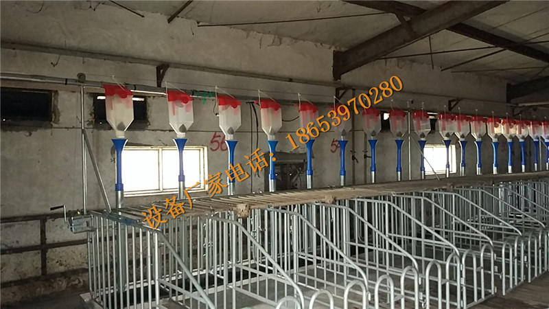 �B(y��ng)�i�O(sh��)��