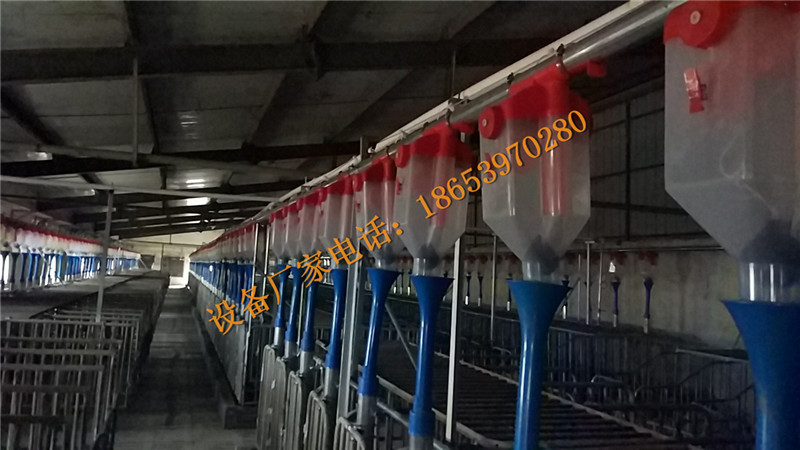 �B(y��ng)�i�O(sh��)��