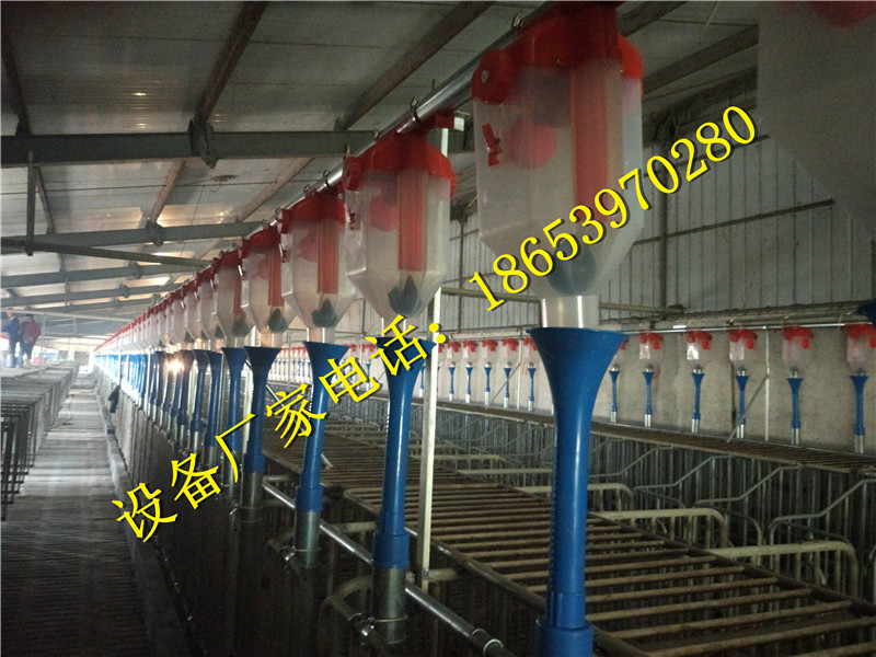 �B(y��ng)�i�O(sh��)��