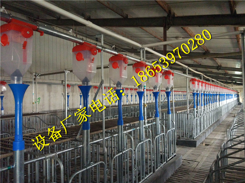 �B(y��ng)�i�O(sh��)��