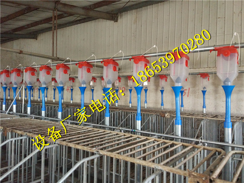 �B(y��ng)�i�O(sh��)��