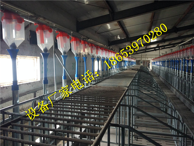 �B(y��ng)�i�O(sh��)��