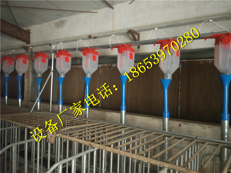 �B(y��ng)�i�O(sh��)��