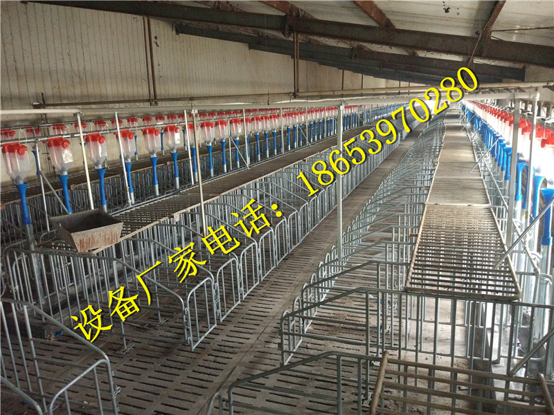 �B(y��ng)�i�O(sh��)��