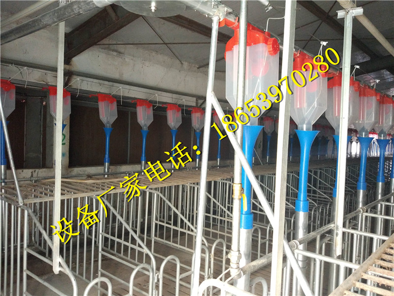 �B(y��ng)�i�O(sh��)��