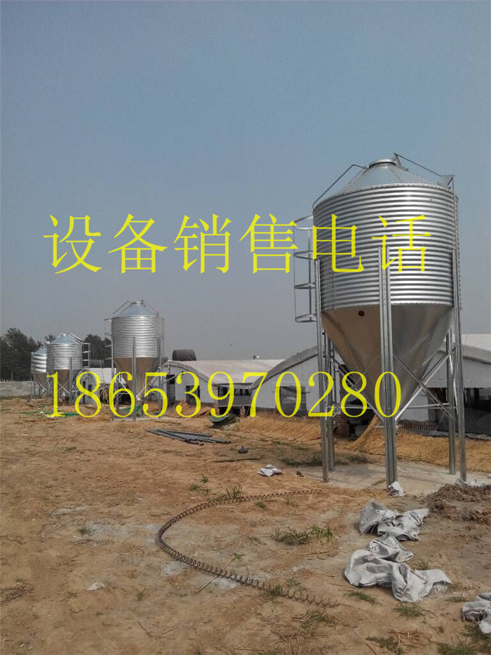 ����\�����N��