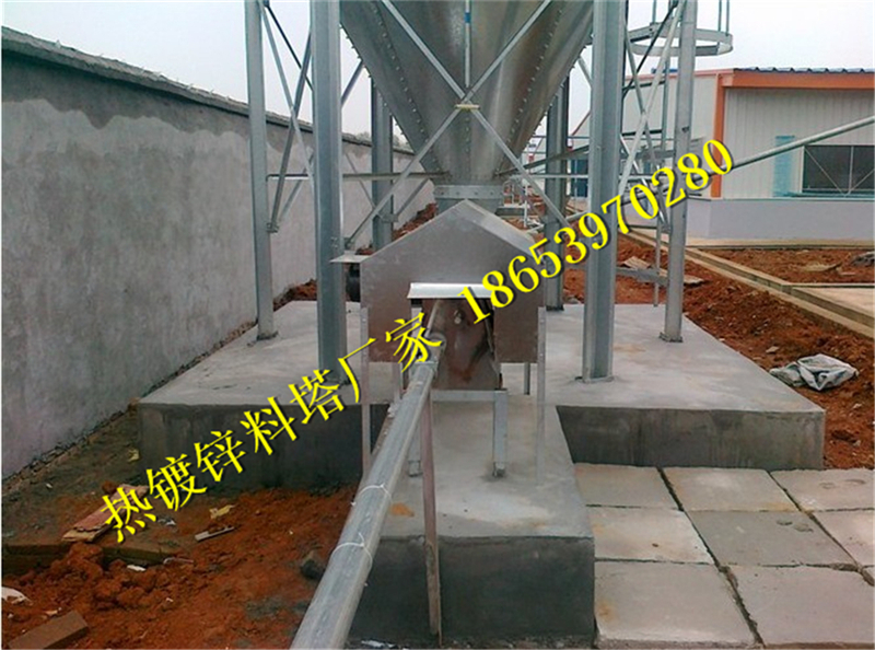 �B(y��ng)ֳ����