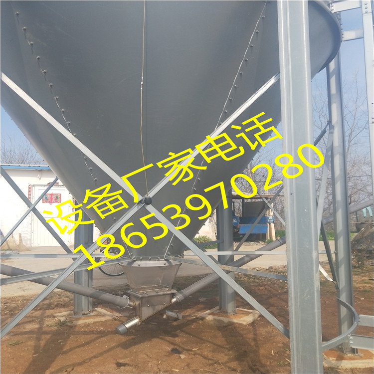 ���׼Z�}(c��ng)ɢ�b����