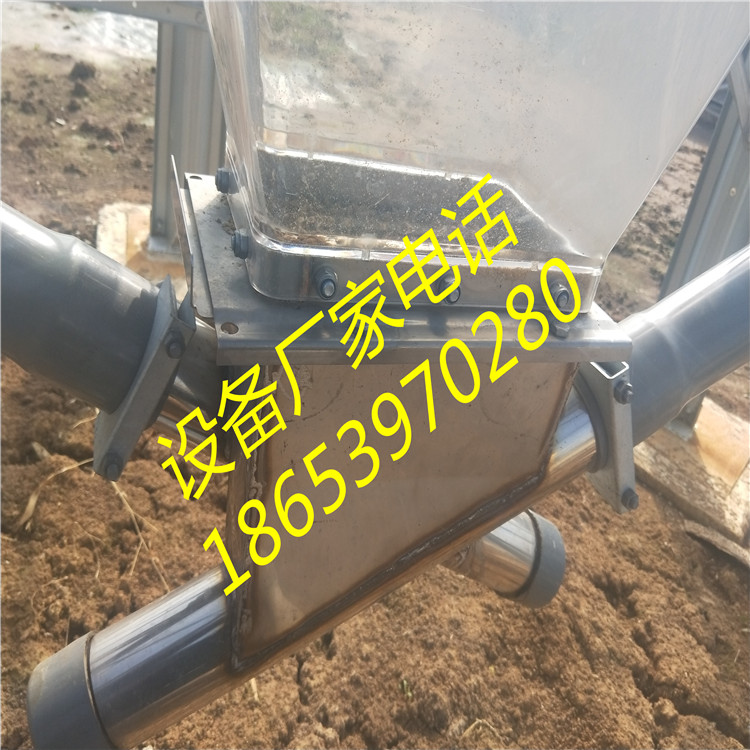 �B(y��ng)ֳ��ɢ�b����