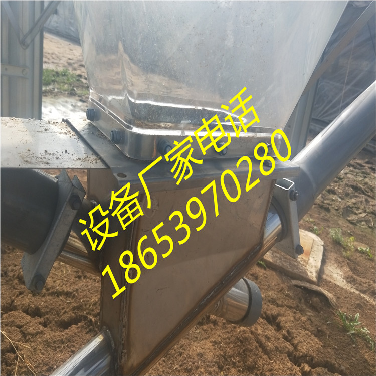 ����\�B(y��ng)ֳ����