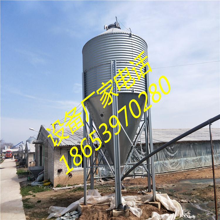 �Ԅ�(d��ng)���B(y��ng)ֳ����