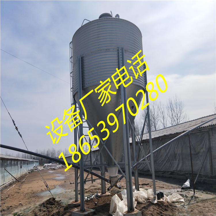 ���׼Z�}����