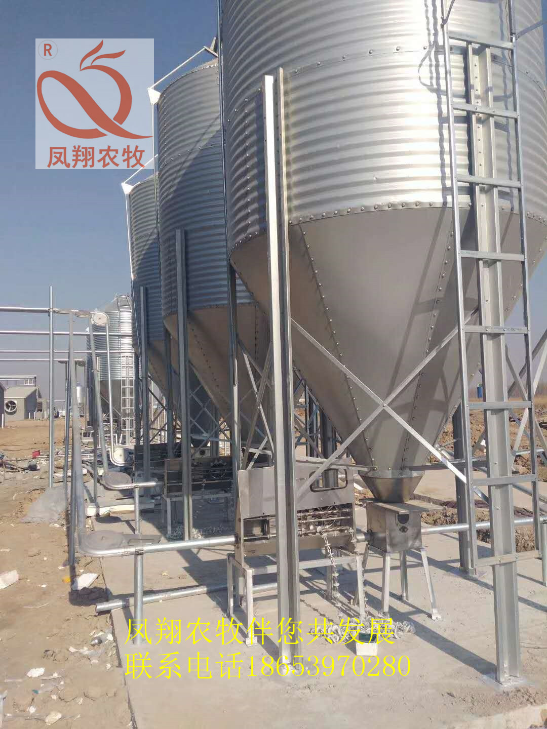 ɽ�|�P���B(y��ng)ֳ�������l(f��)