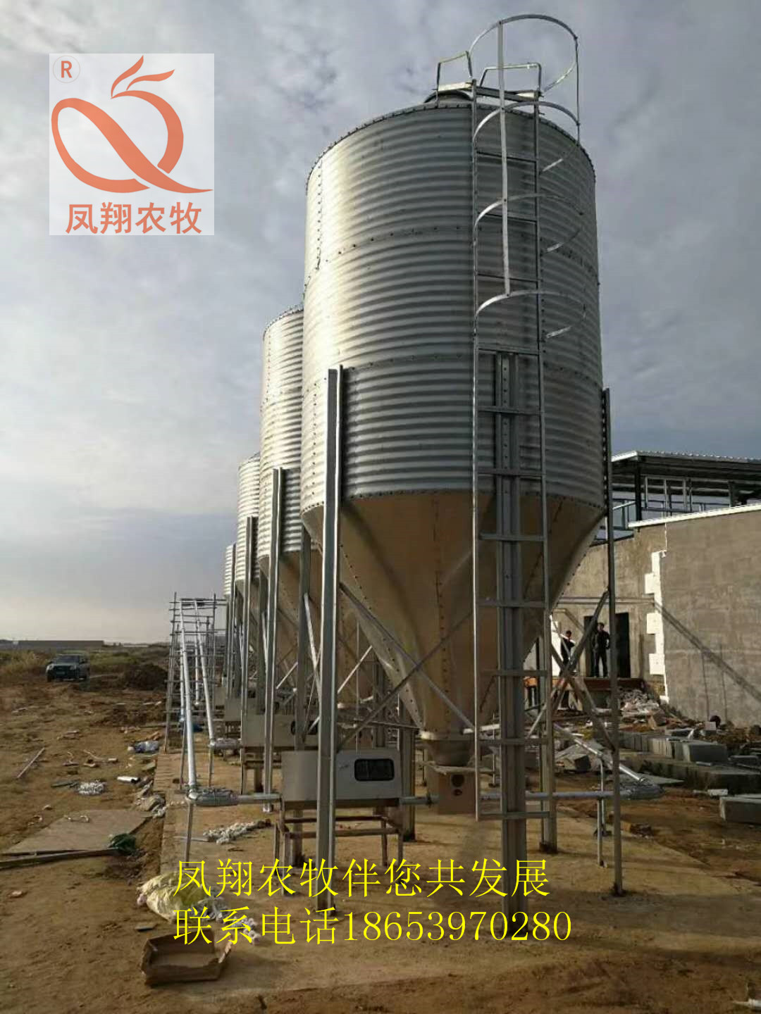 ����_���������l(f��)�S��