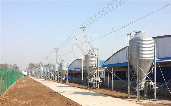 �P���r(n��ng)�����I(y��)���a(ch��n)��\�������Ԅӻ����Ͼ�����