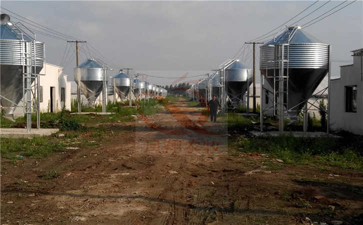 �P���r(n��ng)������10��15��20�����N��\�Ͼ�����