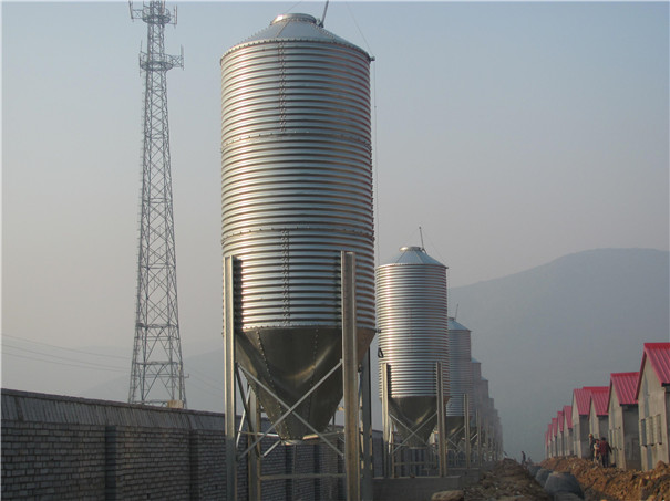 �P���r(n��ng)��ֱ�N����� �ԄӃ����������� ɢ�b����